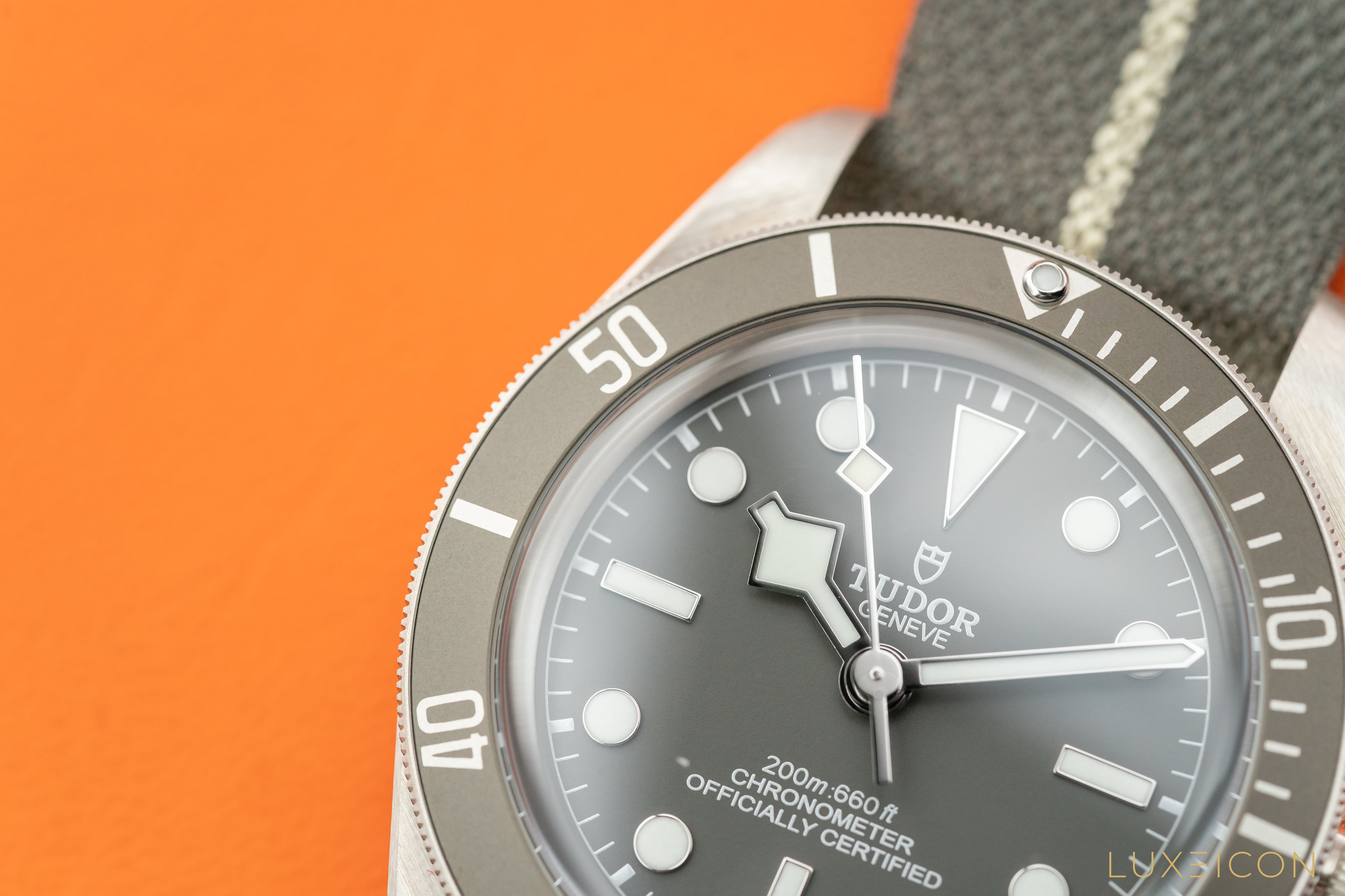 Tudor Black Bay 58 925 Fifty-Eght Silver Dial M79010SG-0002 New Model