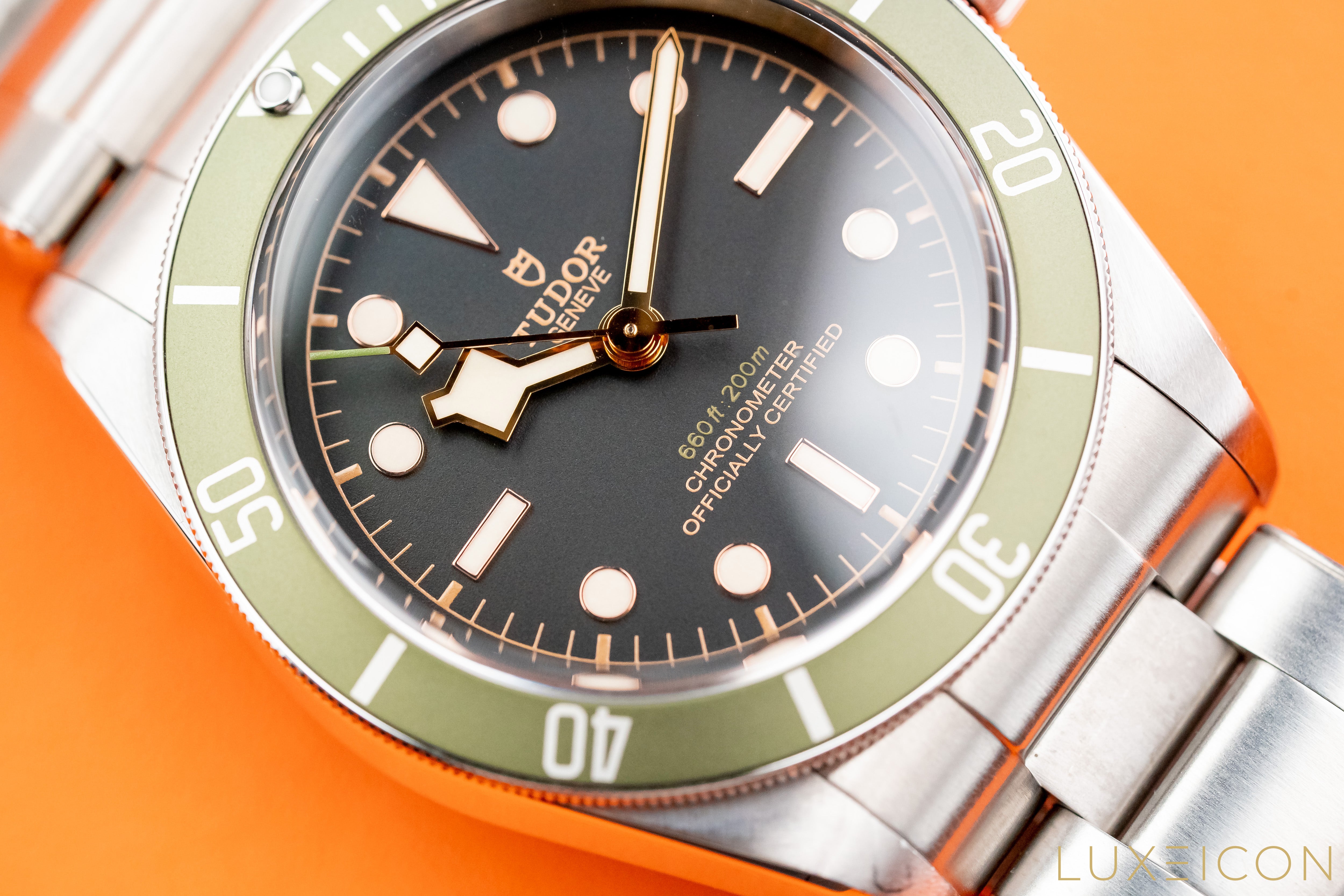 Tudor Black Bay Heritage Harrods Special Edition 79230G 2018