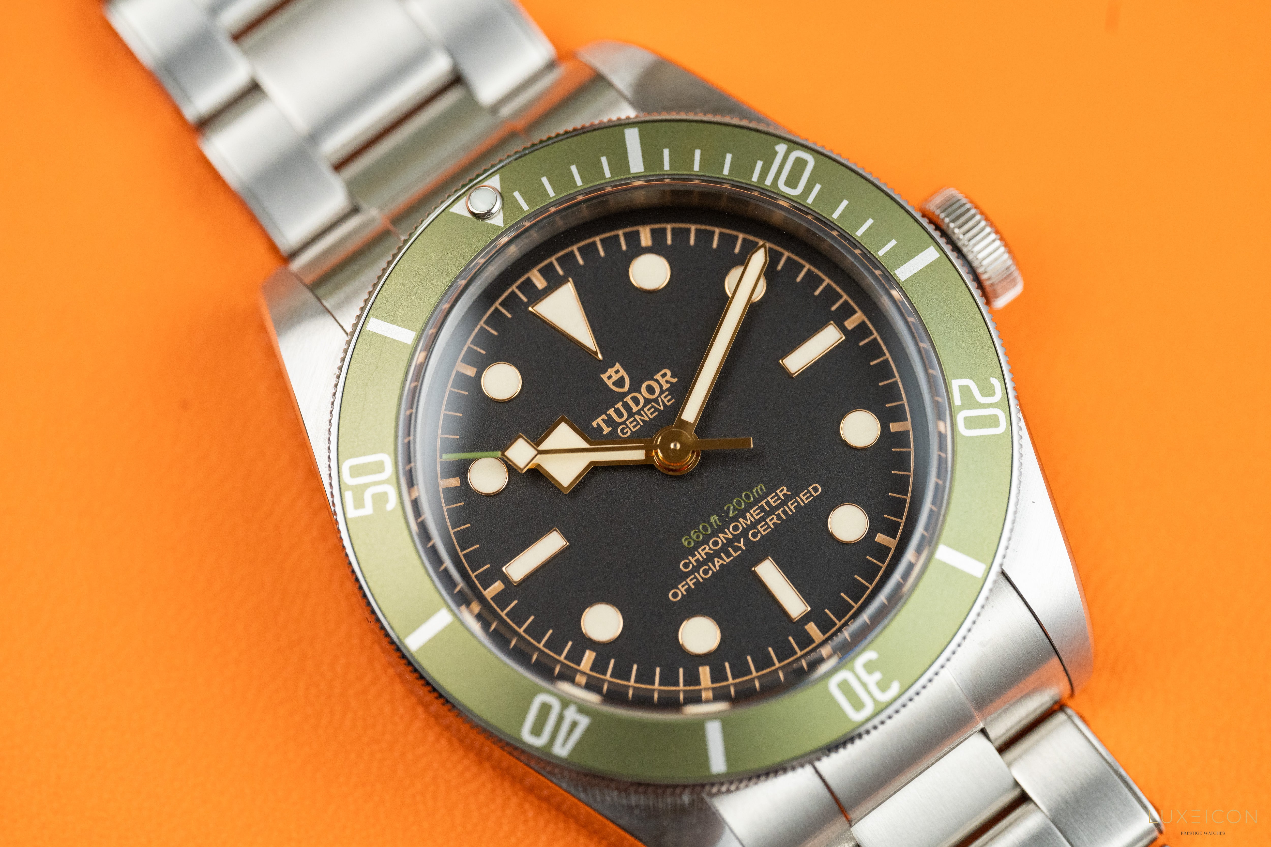 Tudor Black Bay 79230G Black Bay Heritage “Harrods” Edition 2023