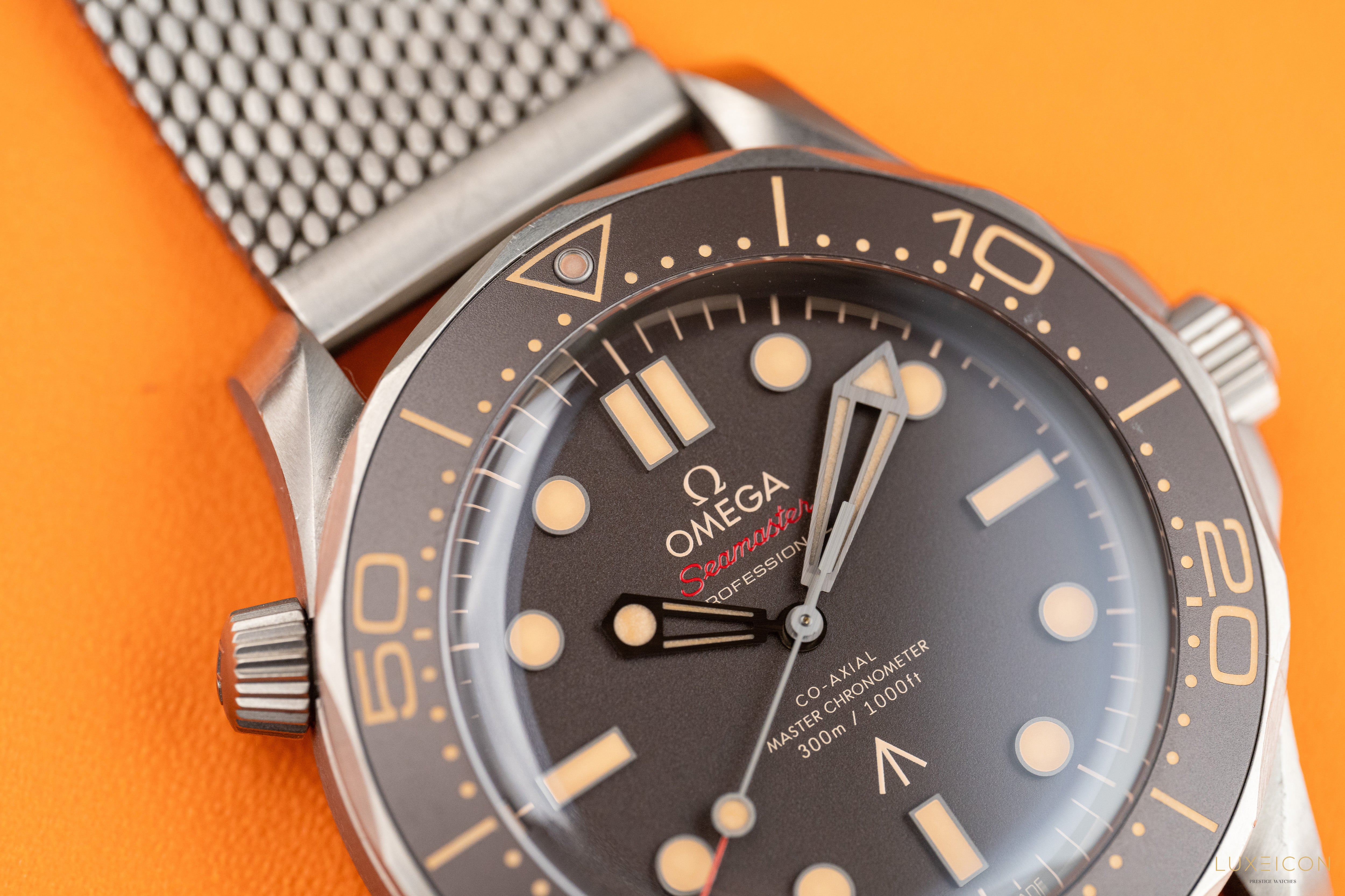 Omega Seamaster Diver 300 M NTTD 007 titanium on titanium Special Edition