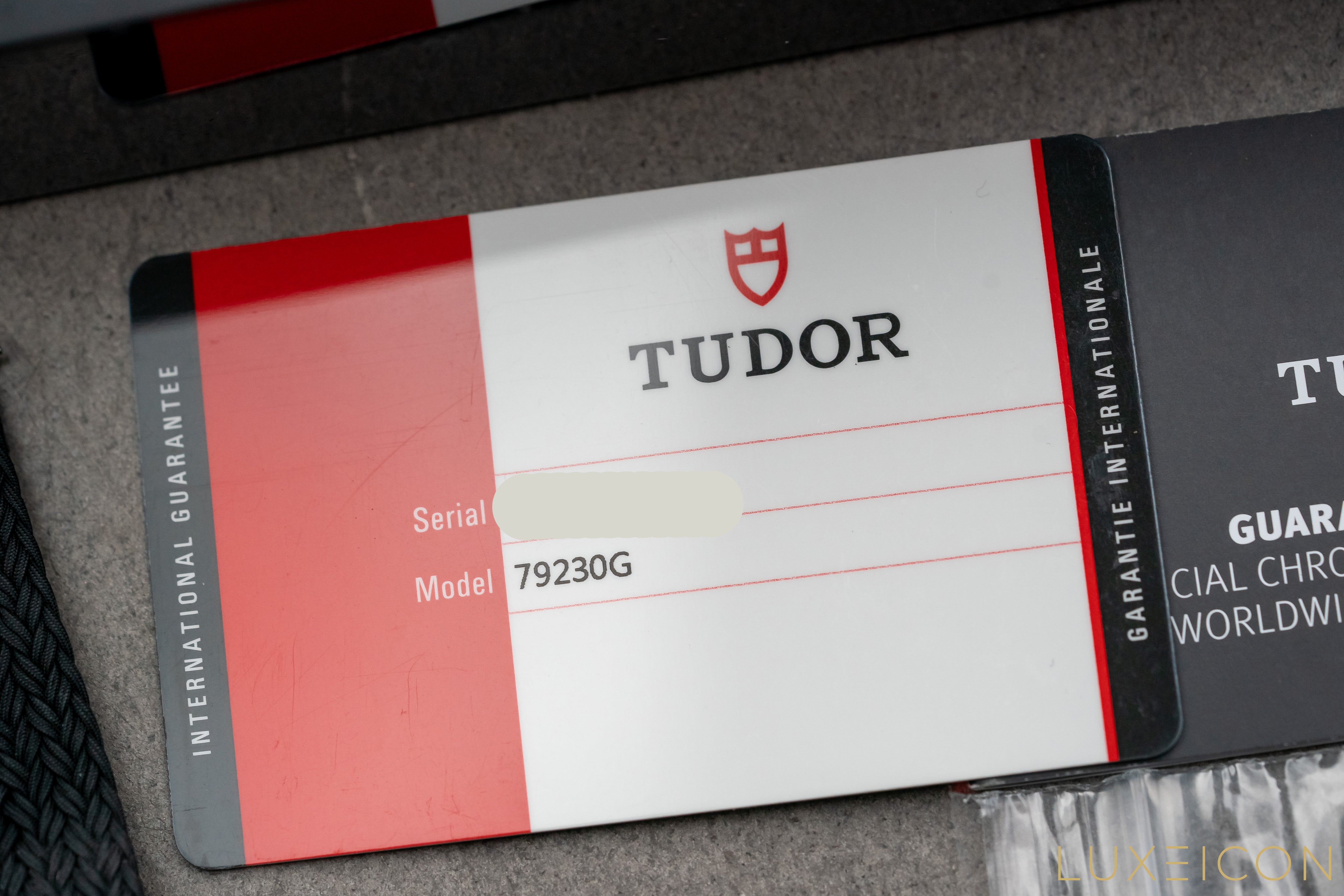 Tudor Black Bay Heritage Harrods Special Edition 79230G 2018