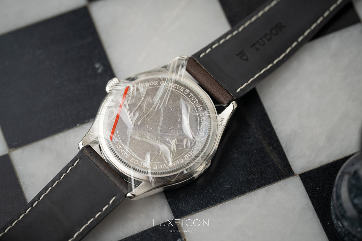 TUDOR 1926 39mm steel case Opaline and white dial 2026