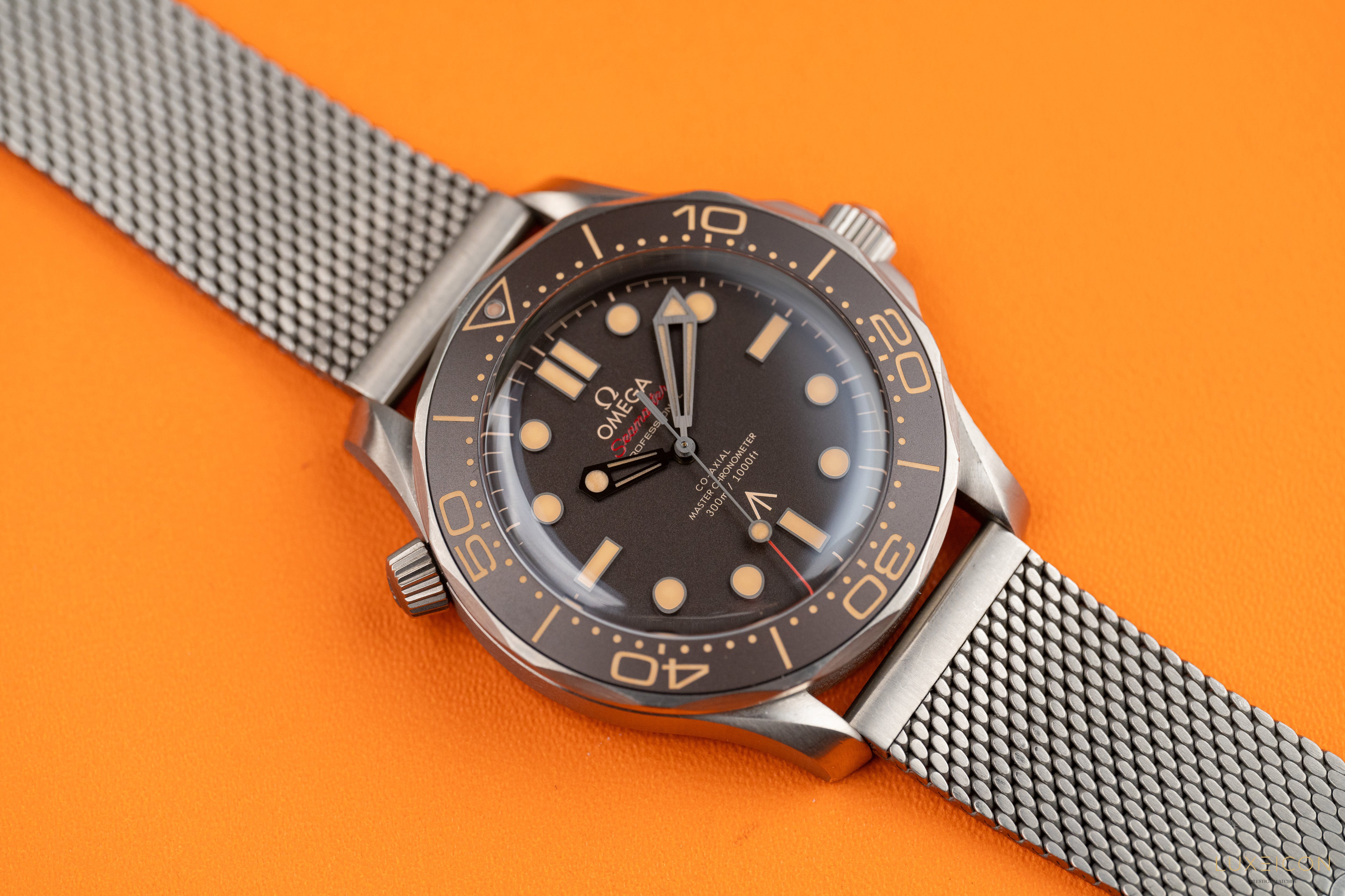 Omega Seamaster Diver 300 M NTTD 007 titanium on titanium Special Edition