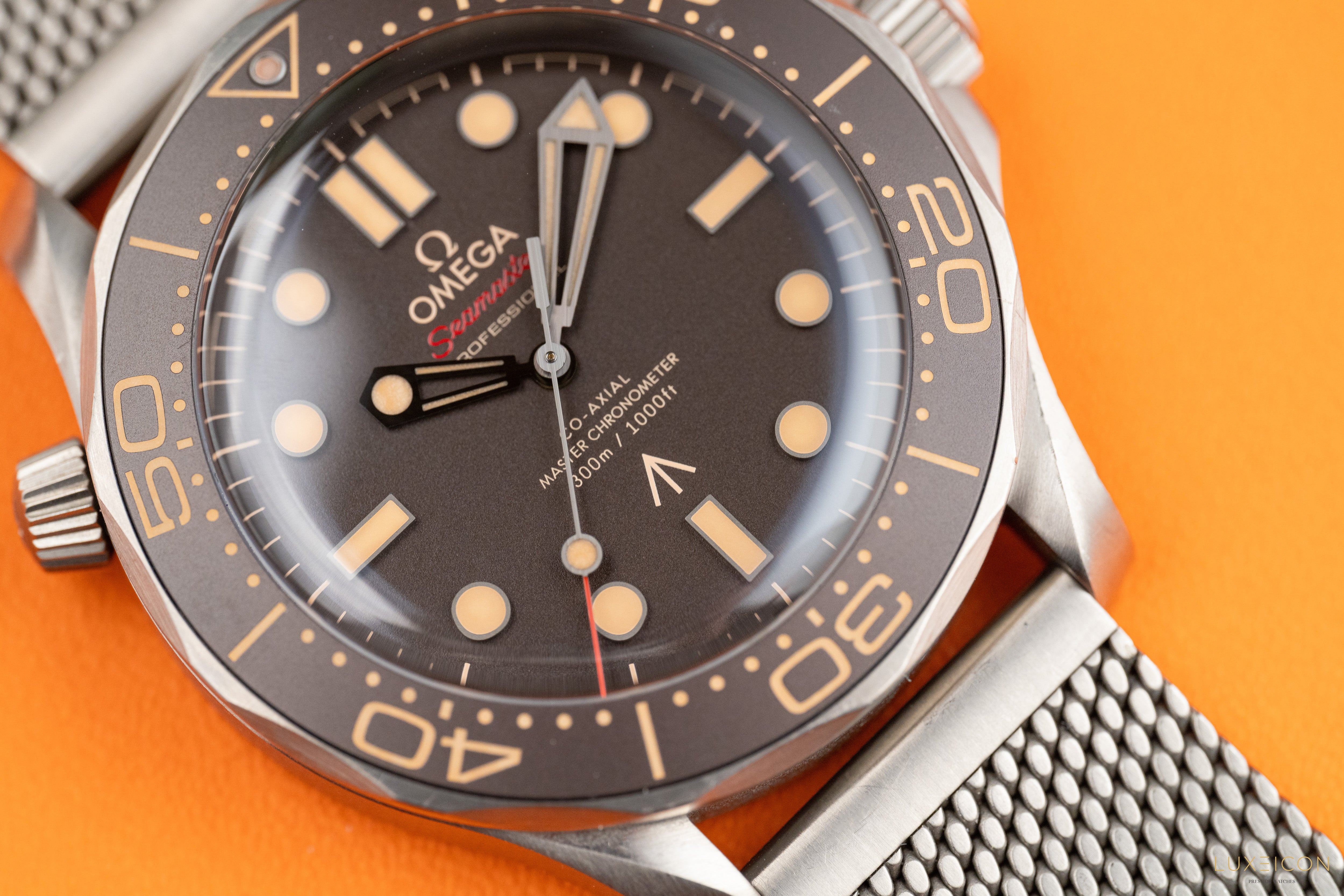 Omega Seamaster Diver 300 M NTTD 007 titanium on titanium Special Edition