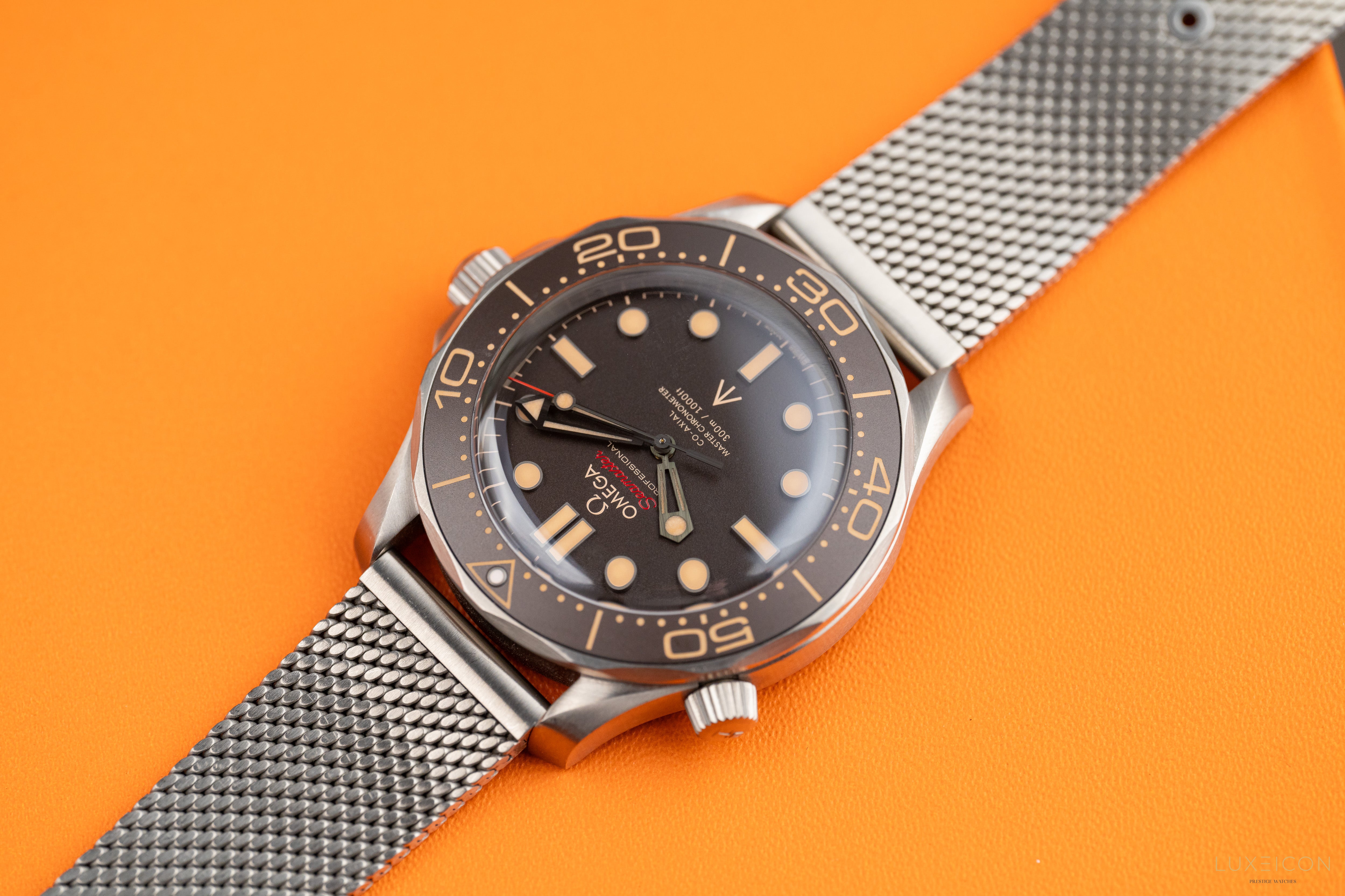 Omega Seamaster Diver 300 M NTTD 007 titanium on titanium Special Edition