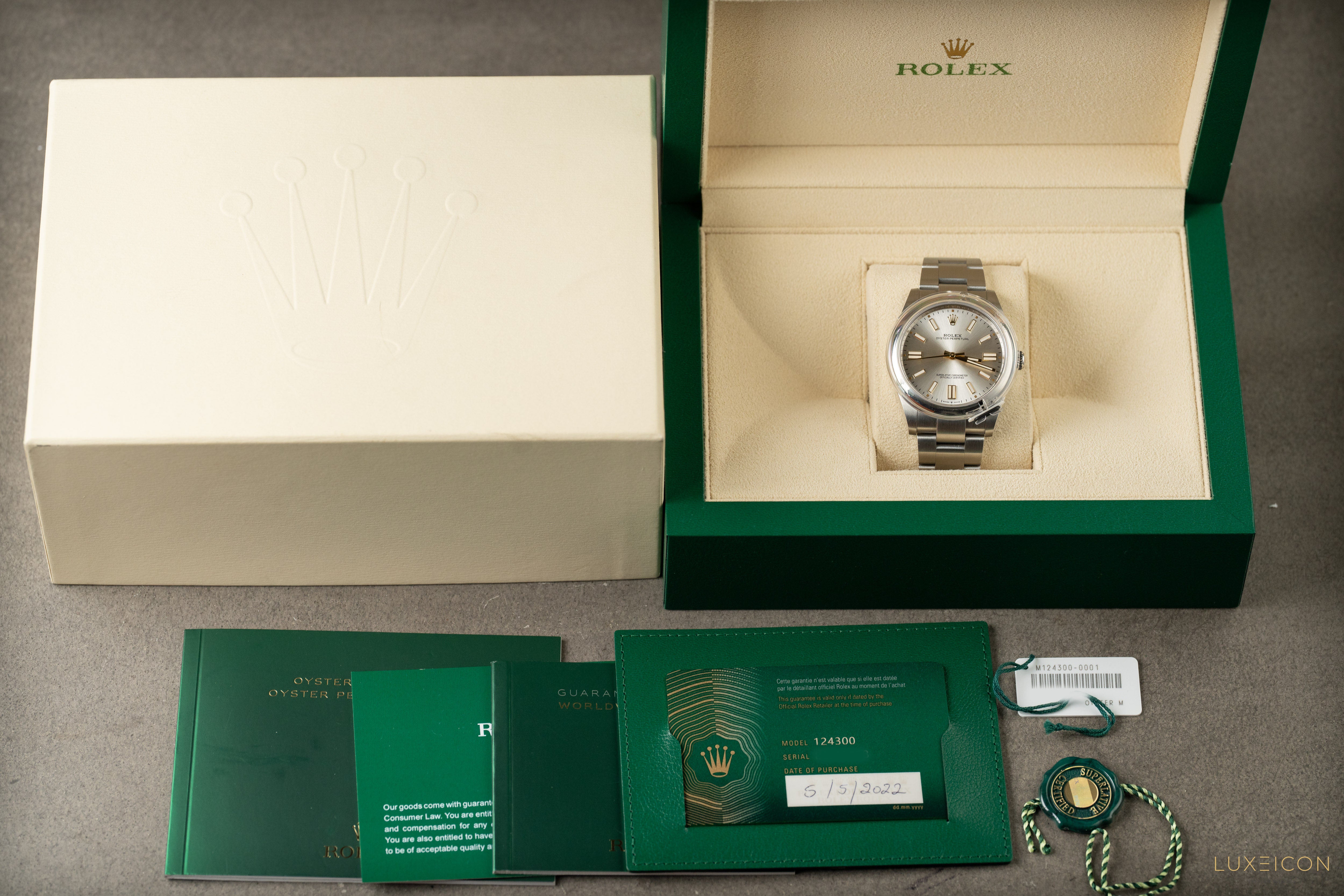 Rolex Oyster Perpetual 41mm 124300 Men’s Stainless Steel Silver Dial 2022