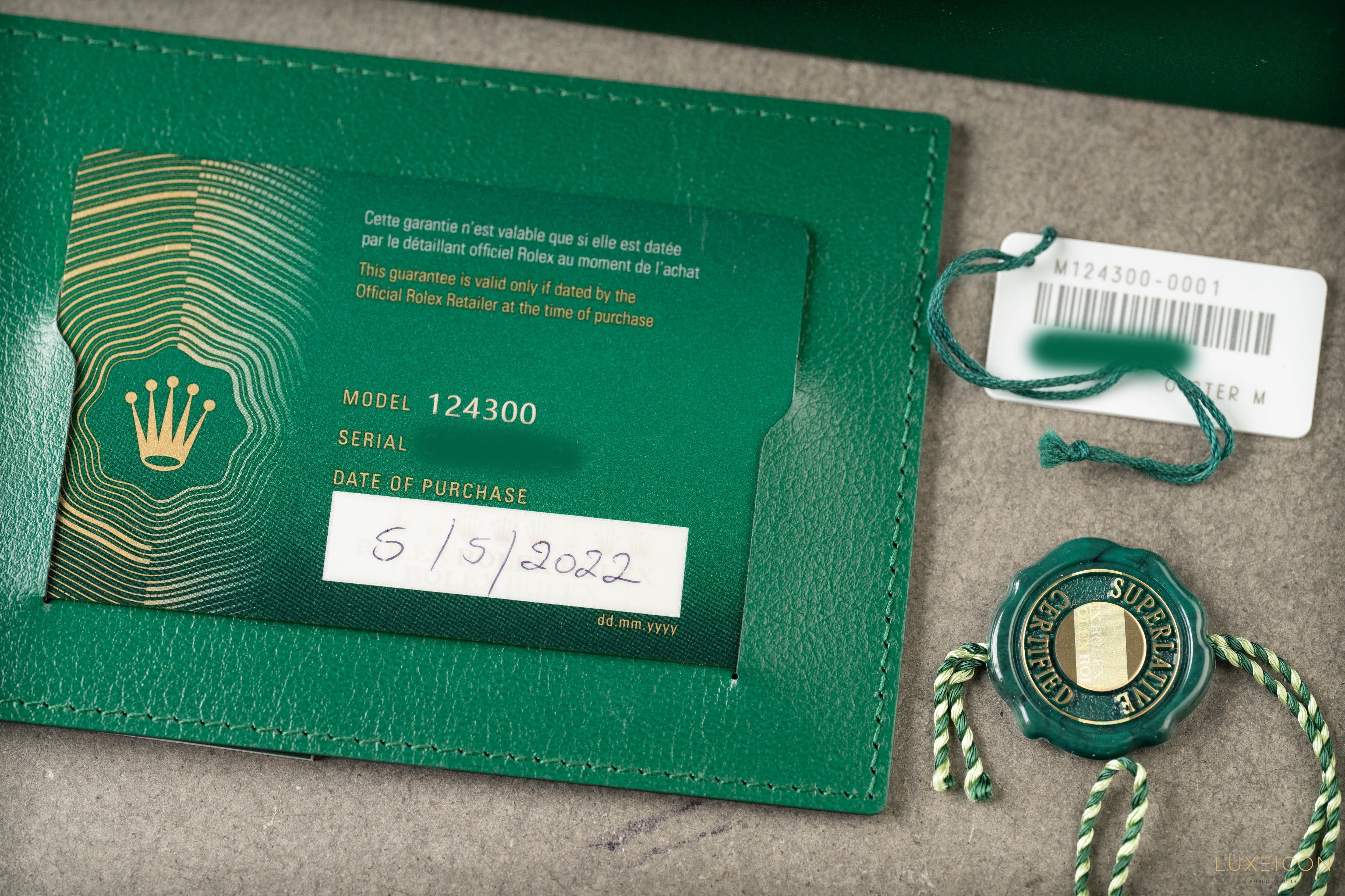 Rolex Oyster Perpetual 41mm 124300 Men’s Stainless Steel Silver Dial 2022